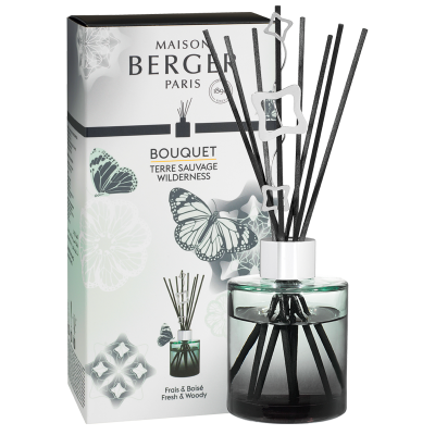 Аромадиффузор Лилли зеленый с ароматом Дикие земли 115мл